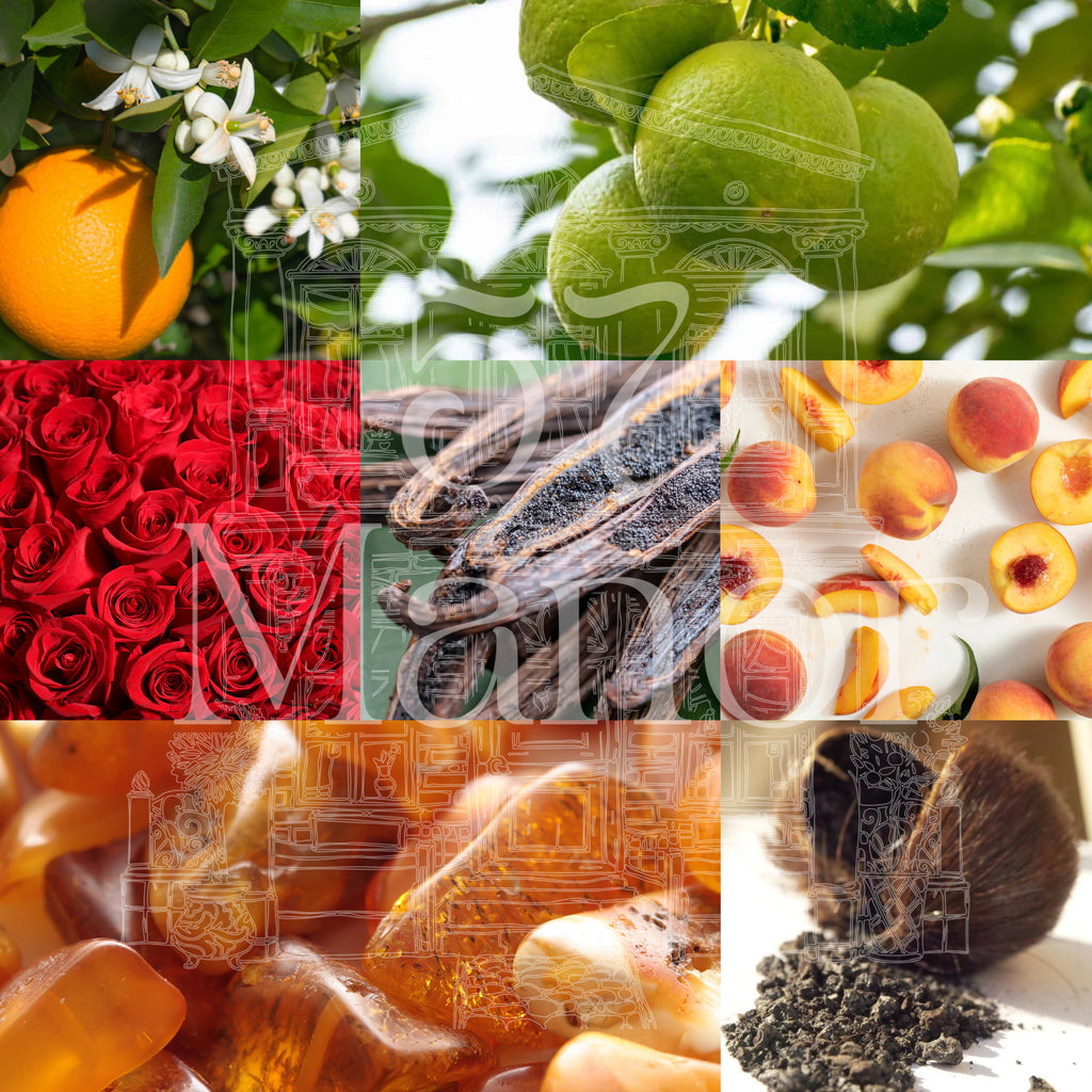 The Manor Collection